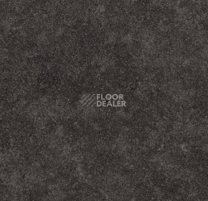 Линолеум Forbo SureStep Material 17172 black concrete фото 1 | FLOORDEALER
